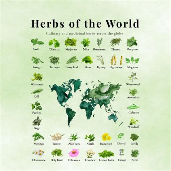 A Culinary, Medicinal, And Environmental Delight