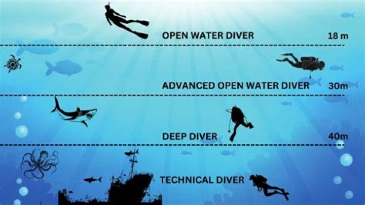 A Deep Dive Into Its Impact And Implications