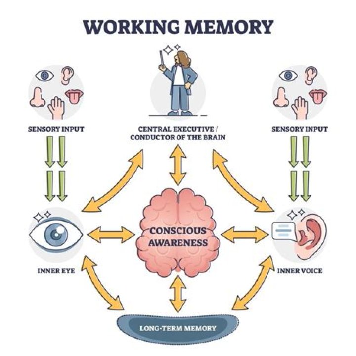 A Journey Into Identity, Memory, And The Human Condition