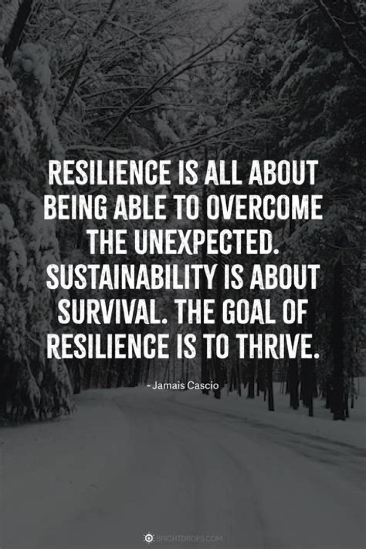 An Inspiring Journey Of Resilience And Renewal
