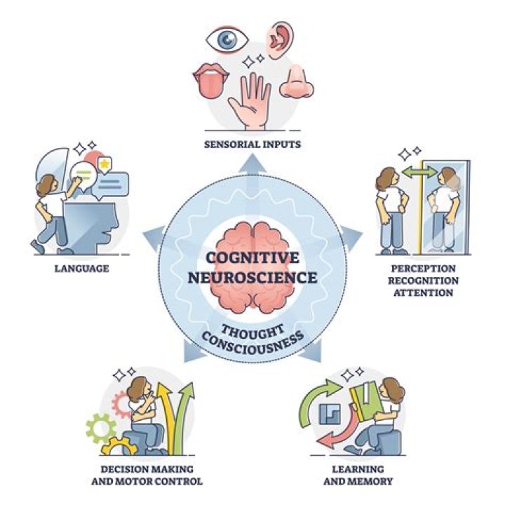 Claire Doye's Age And The Evolution Of Neuroscience