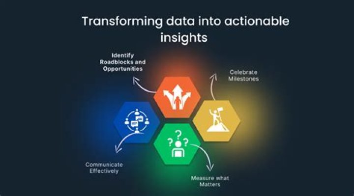 Comprehensive Insights And Revelations Within