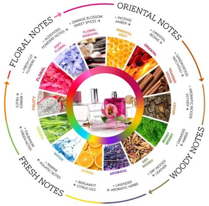 Discover Fragrance, Culture, And More