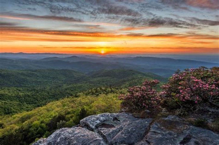 Discover Hidden Gems At Skip The Games Greensboro NC