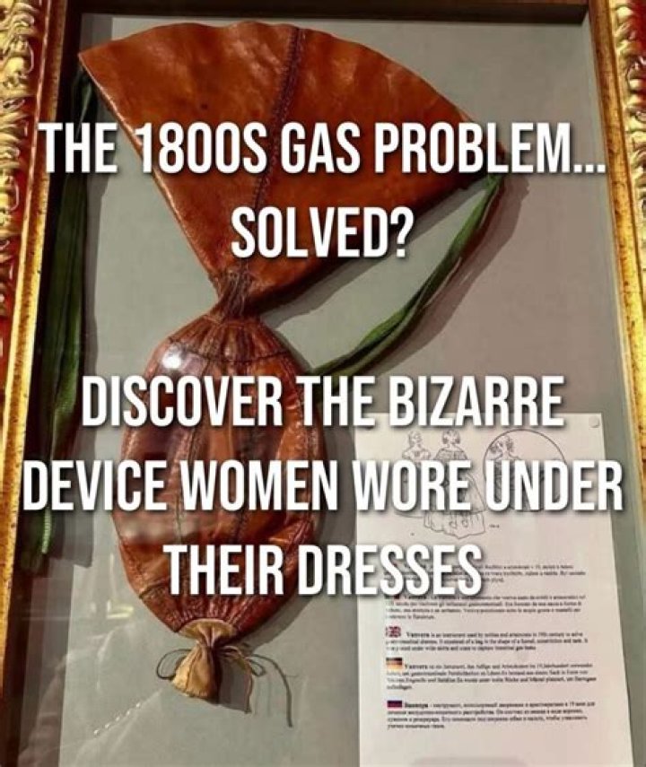 Discover The Bizarre And The Brilliant!
