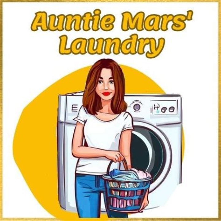 Discover The Laundry Secrets Of The Stars At Nikki Mars Laundry Mat