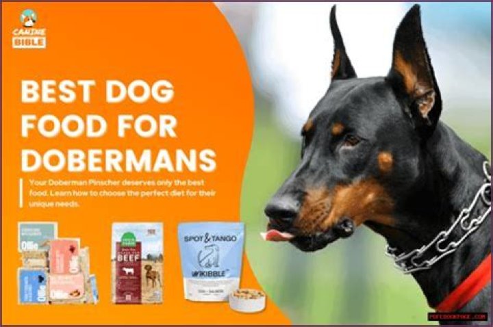 Discover The Ultimate Dog Food Guide For Dobermans