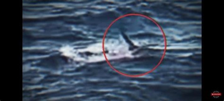 Discoveries And Insights Behind The Simon Nellist Incident