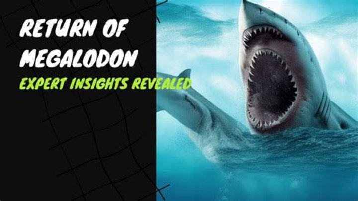 Discoveries And Insights From A Trapped Megalodon