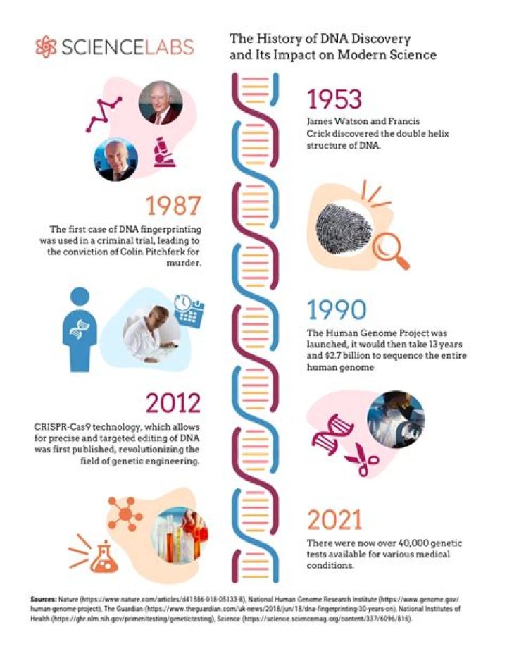 Discoveries And Insights From Kim Malkey