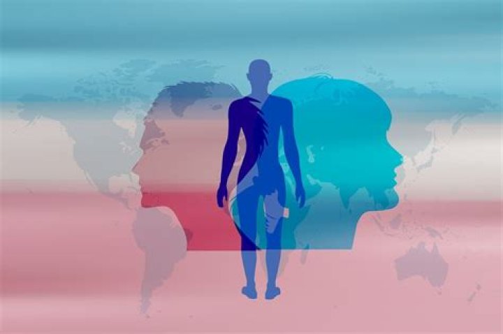Exploring Transgender Identity And Breaking Boundaries