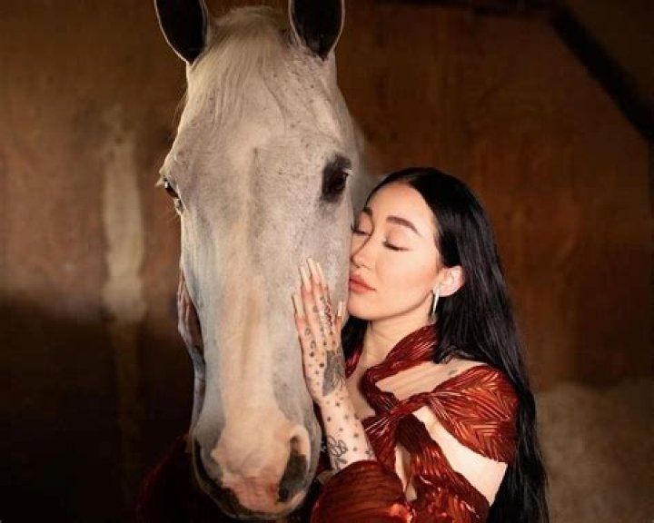 Is Noah Cyrus Transgender? Discoveries And Insights