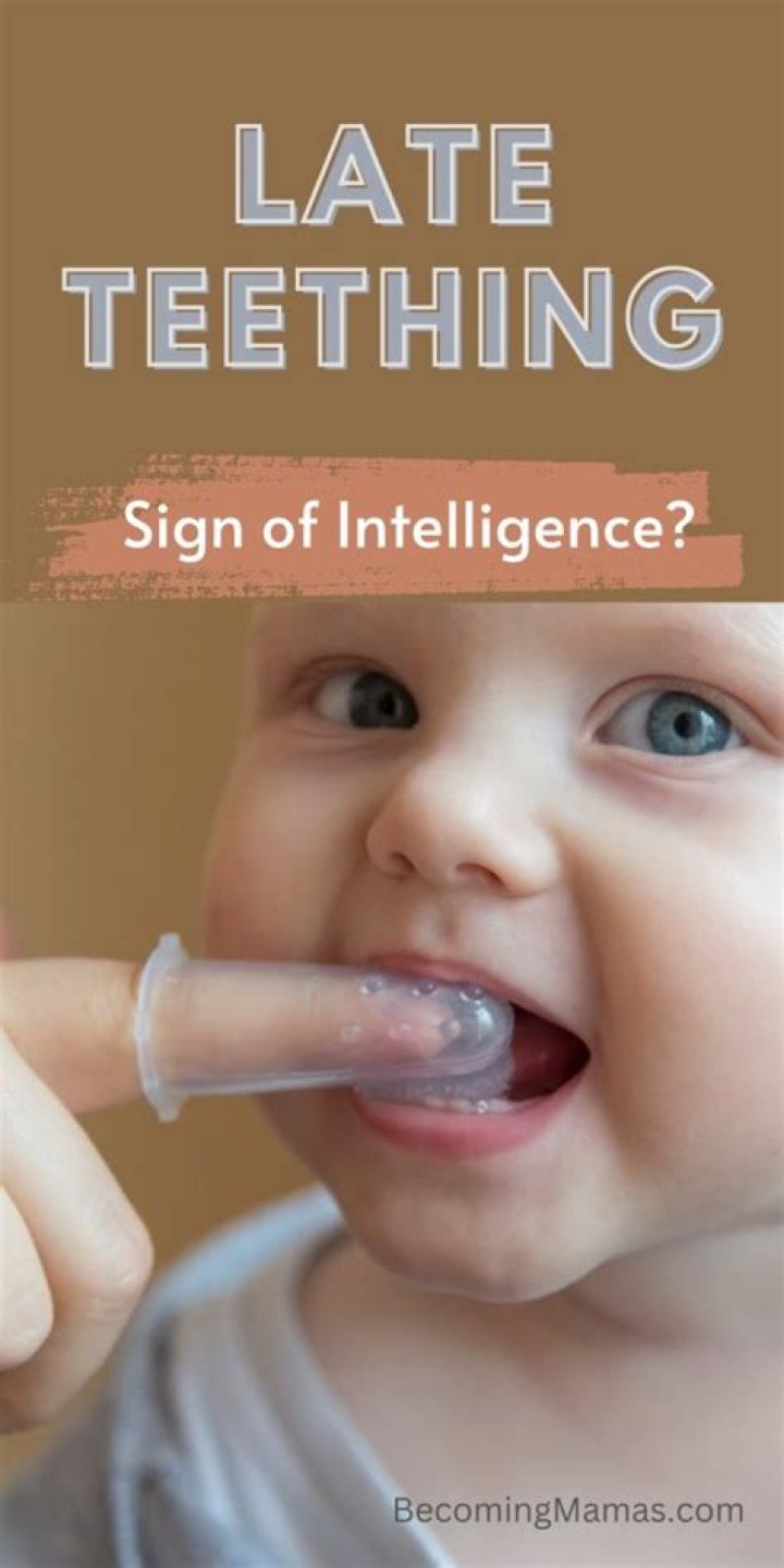 Late Teething And IntelligenceSurprising Discoveries