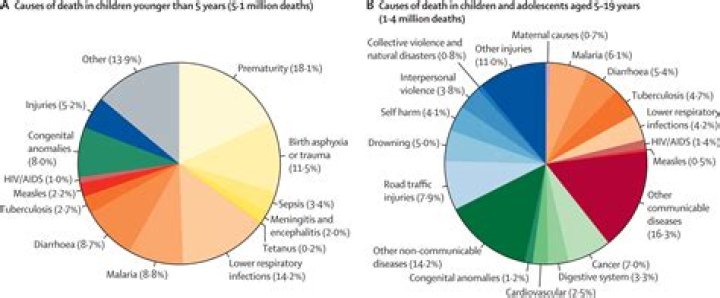 Steve Forrest's Cause Of Death And Its Impact