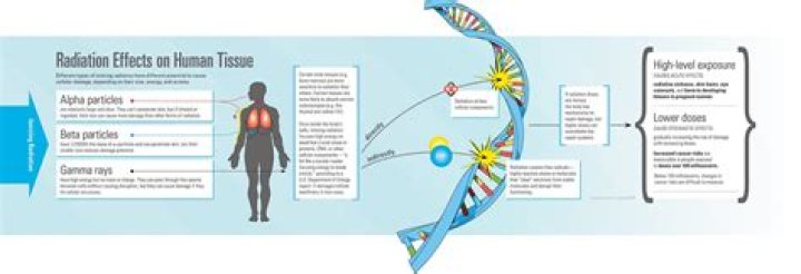 Uncovering The Devastating Effects Of Radiation