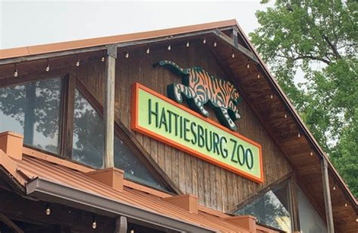 Unleash The Power Of "Skip The Games Hattiesburg Mississippi": Discoveries And Insights