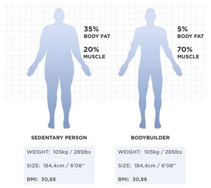 Unlock The Secrets Of Body Composition With Griffith Height And Weight