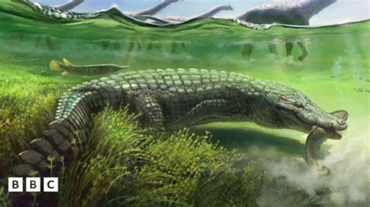 Unlocking The Secrets Of A Prehistoric Giant