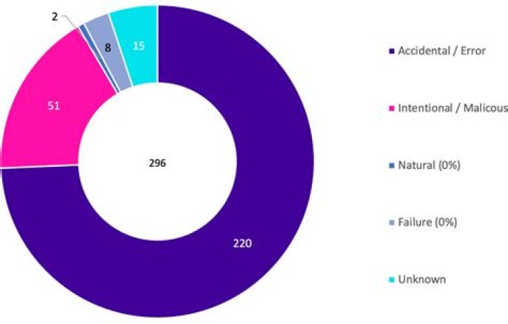 Unraveling The 2022 Bulldog Incident: Insights And Discoveries
