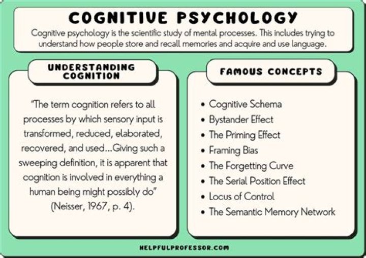 Unraveling The Enigma Of Cognition And Focus