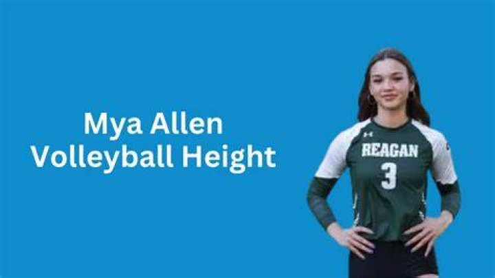 Unveiling Mya Allen's Volleyball Height: An In-depth Analysis