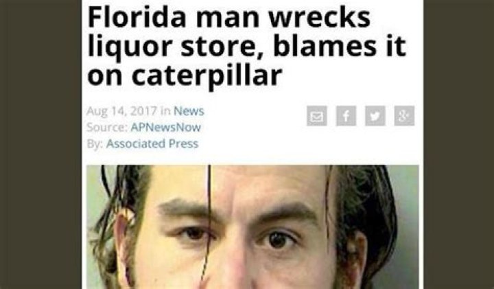 Unveiling The Curious World Of "November 10th Florida Man": Discoveries And Insights