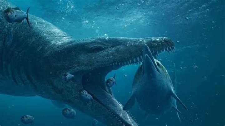 Unveiling The Frozen Giant: NASA's Megalodon Discovery
