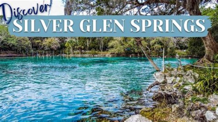 Unveiling The Hidden Gems Of Ocala Rock Climbing: A Climber's Paradise