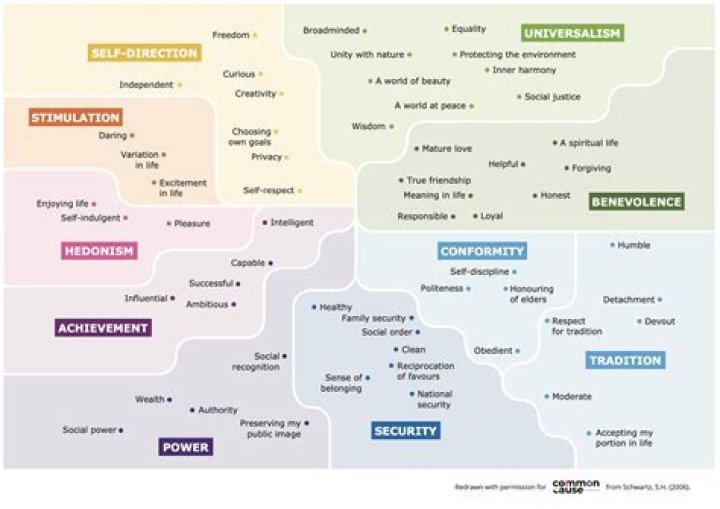 Unveiling The Odyssey Of Values, Behaviors, And Roles: Liam's Enlightening Journey