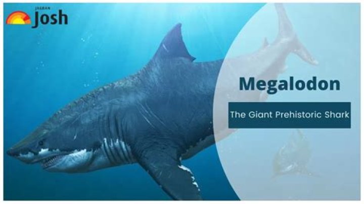 Unveiling The Secrets Of Megalodon Antarctica: A Prehistoric Giant