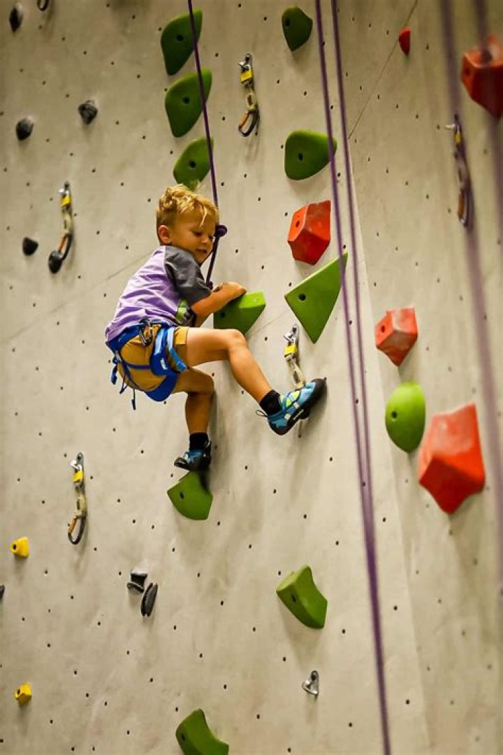 Unveiling The Secrets Of Rock Climbing Ocala: A Journey Of Discovery