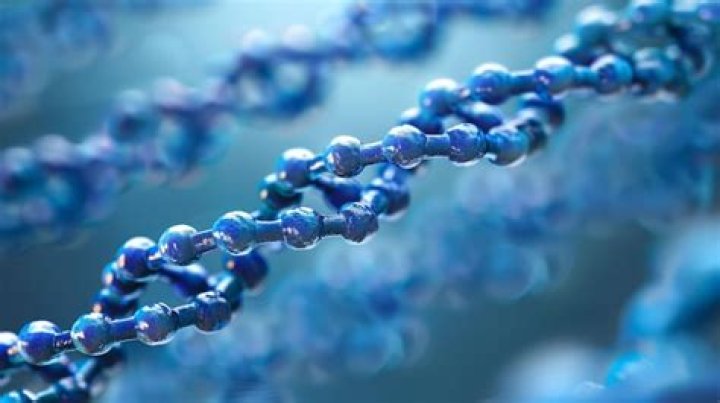 Unveiling The Secrets Of The Human Genome