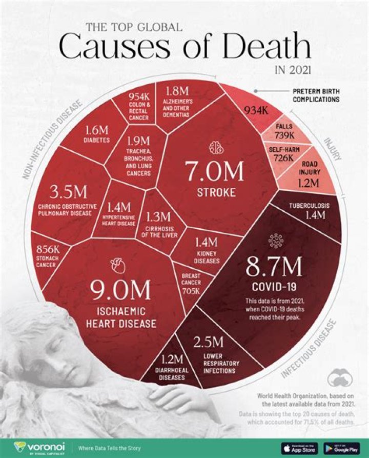 Wade Benz's Cause Of Death And Its Lessons